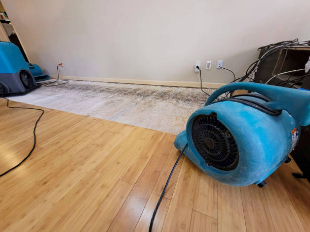 Professional Flood Damage Cleanup technician working in Ecorse, MI